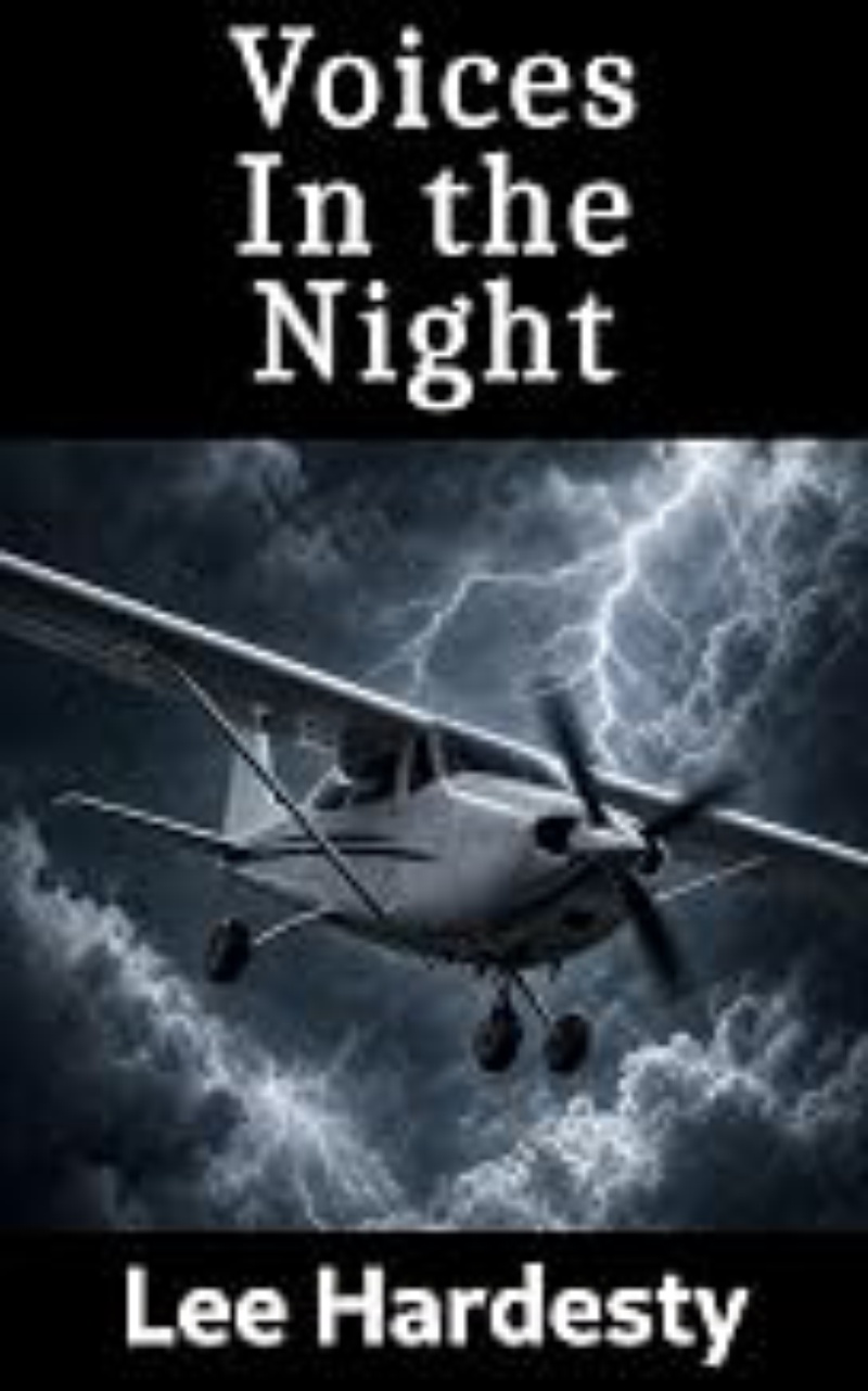 Cover of Voices in the Night: A Ghost Story of the Night Sky
